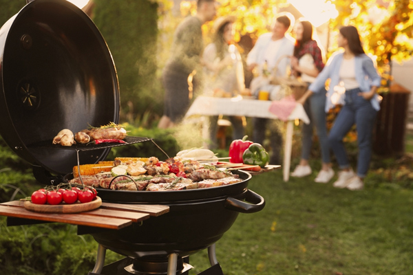 Elixir-amenities-barbq